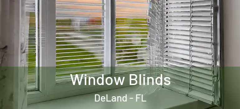  Window Blinds DeLand - FL